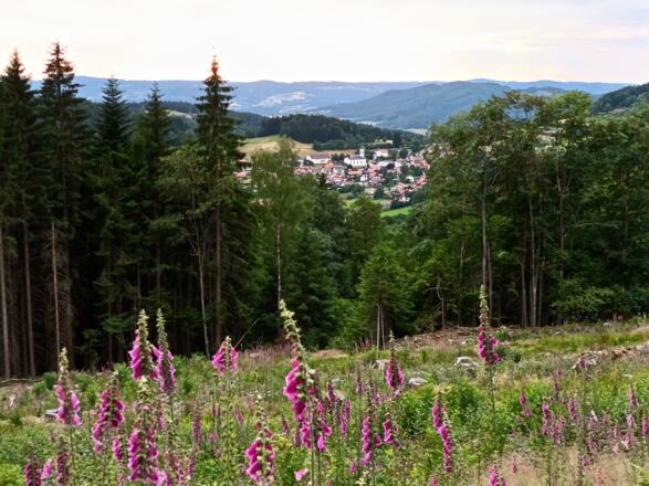 Blick nach Elisabethszell vom Wanderweg nach Maibrunn