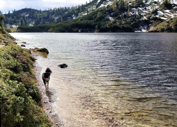 Am Wildensee-Ufer ~1535m entlang