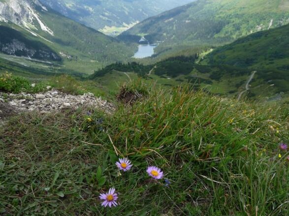 Am Portjoch - hier erfolgt der Abstieg zum Obernberger See.