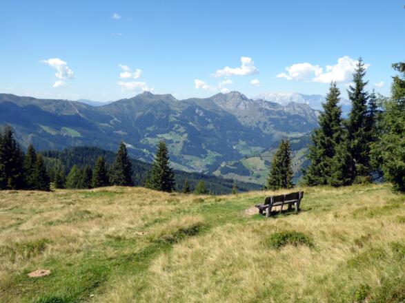 Der sanfte Abstieg vom Remsteinkogel zur Bichel Hochalm. Rechts Höllwand und Hochkönig.