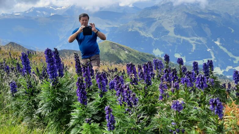 Blumen am Frauenkogel