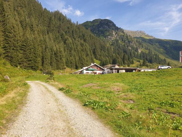 Alpe Nenzigast