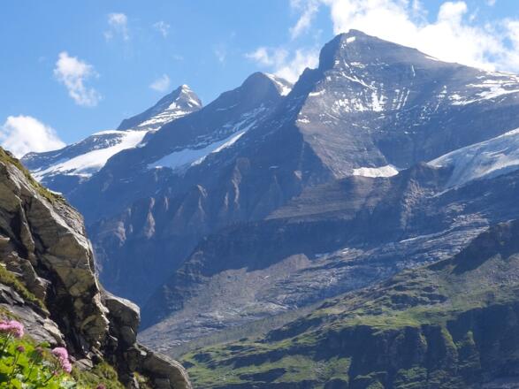 Blick auf das große Wiesbachhorn