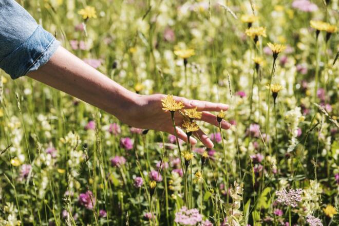 HS-507-Cnussbaumerphotography.com