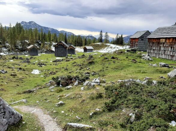 Wildenseealmen ~1530m