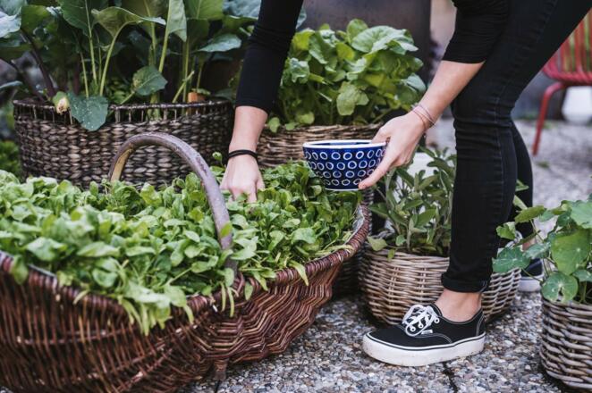 HS-440-Cnussbaumerphotography.com