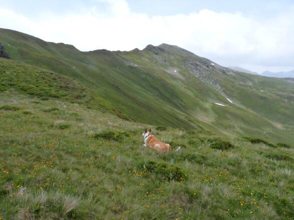 Der Hohe Lorenzen bereits im Blickfeld.
