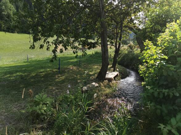 Ruheoase hinter dem Haus