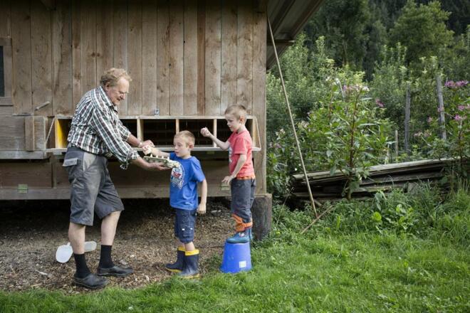 Mithelfen am Bauernhof