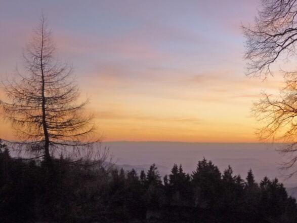 Abendstimmung mit Alpenblick bei Schuhchristleger