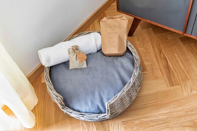 Hunde sind bei uns Willkommen!