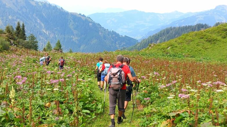 Abstieg zur Aigenalm