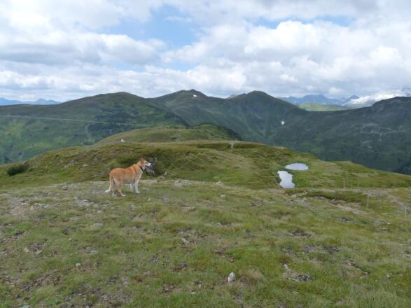 Blick nach Westen über den Kamm der südl. Brennerberge.