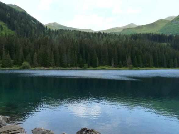 Am Obernberger See genießen wir die Ruhe und Schönheit dieser wilden Landschaft.