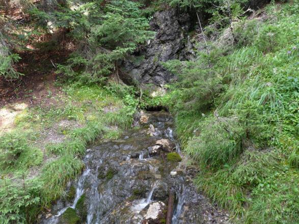 Beim "Ursprung" - eine stark sprudelnde Quelle.