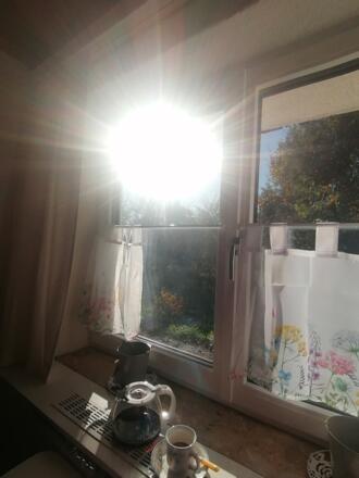 Mit der Morgensonne frühstücken