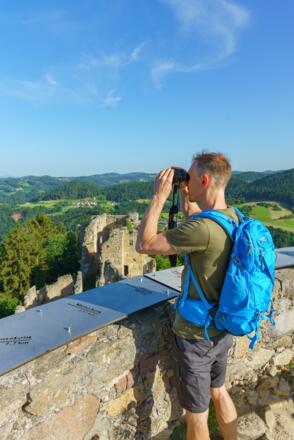 JohanneswegBurgruinePrandeggWeitblickMann02_TVBMuehlviertlerAlmFreistadtWalchAndreasPhotography.jpg