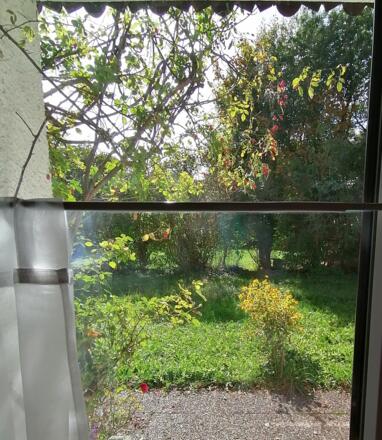 Blick aus dem Wohnzimmer