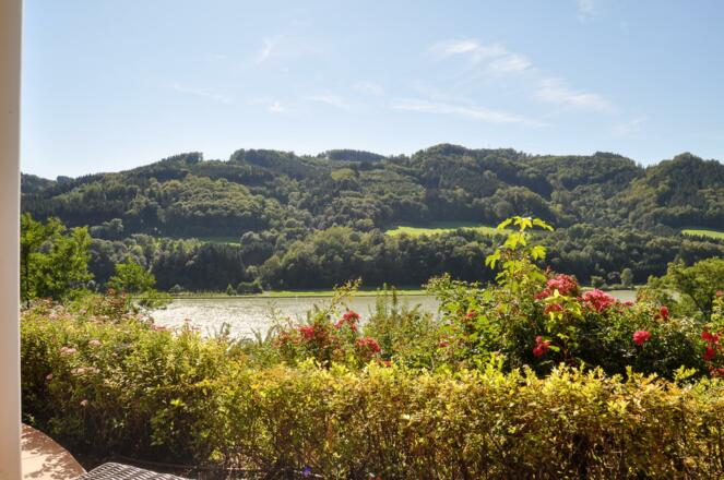 Ausblick zur Donau