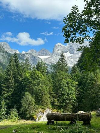 Ausblick