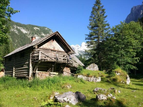 Niedere Holzmeisteralm