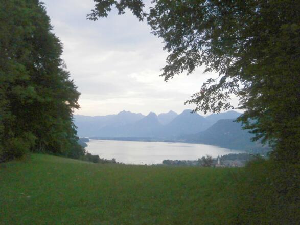 Ausblick zum Wolfgangsee