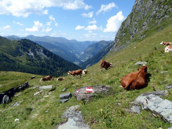 Der Abstieg durch das Kreekar in das Großarltal.
