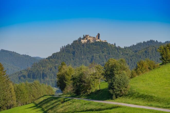 JohanneswegLandschaftBurgruineRuttenstein02_TVBMuehlviertlerAlmFreistadtWalchAndreasPhotography.jpg