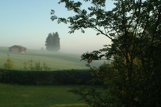 Blick vom Balkon