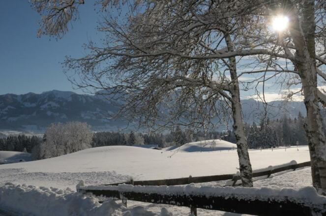 Aussicht vom Gästehaus Bergfrieden