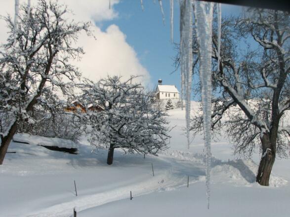 Der Blick aus der Küche