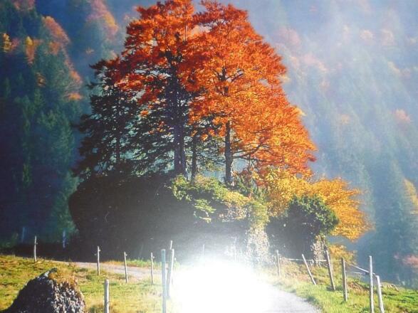 Indian Summer im Allgäu