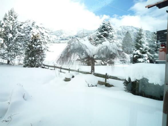 Blick in den Garten