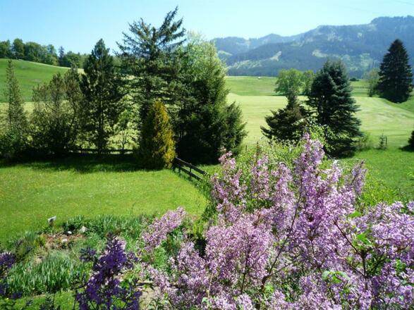 Blick in den Garten und auf die Sonnenköpfe