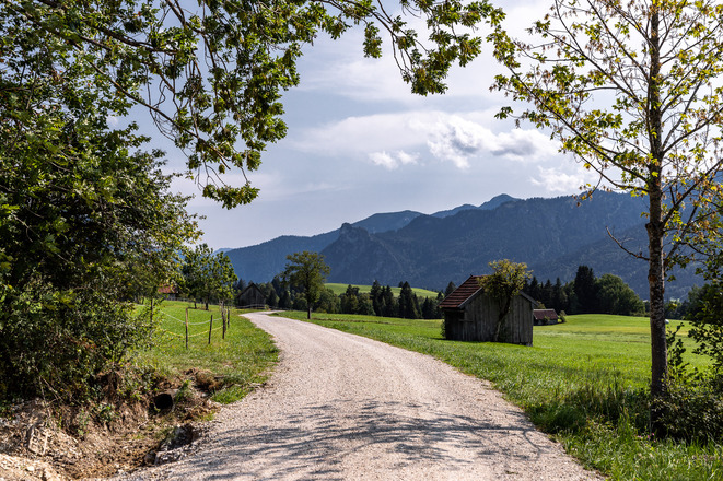 Schotterweg durch Wiesen der Ammergauer Alpen