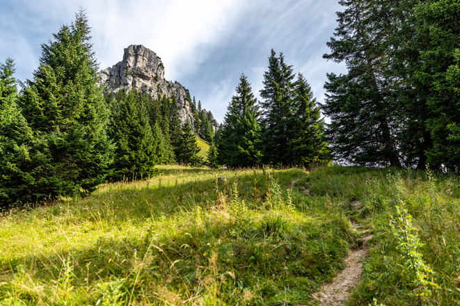 Der Latschenkopf