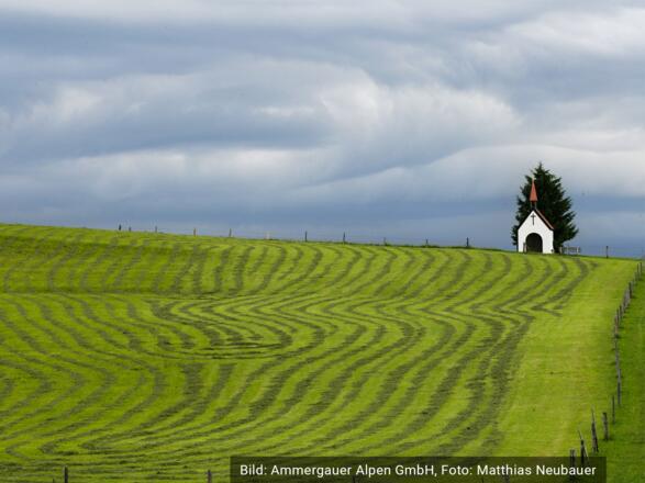 Kur- und Tourist Information Bad Kohlgrub