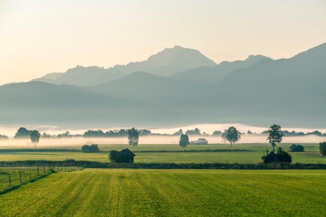 Zwischen Schlehdorf und Großweil