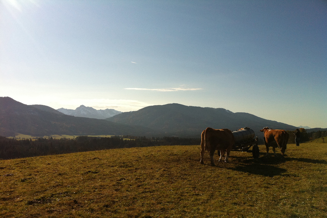 Fernwanderweg Meditationsweg Ammergauer Alpen - Blick vom Wetzsteinrücken