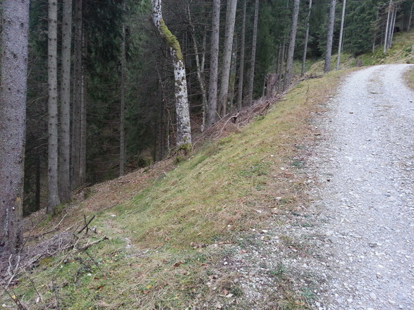 hier beginnt/endet (leicht zu übersehen) der Fußweg