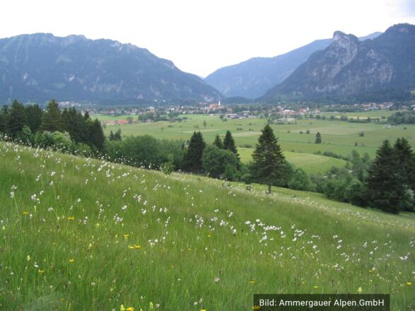 Kur- und Tourist Information Bad Kohlgrub