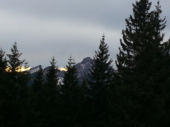 hinter den Tannen Blick zur Klammspitze