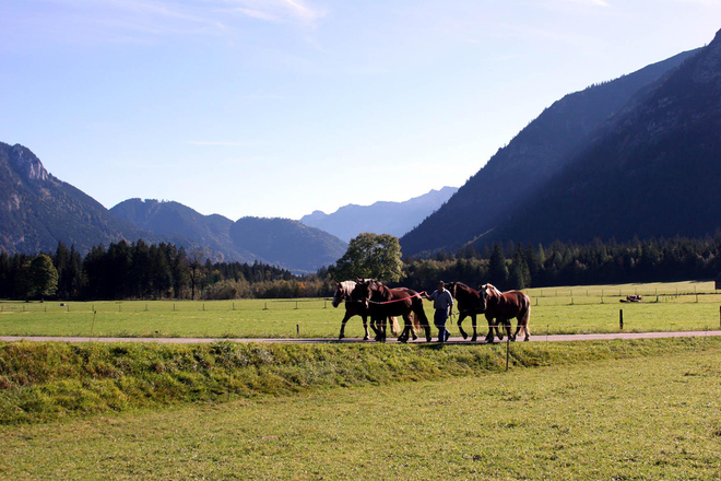 Wanderung - Sonnenweg