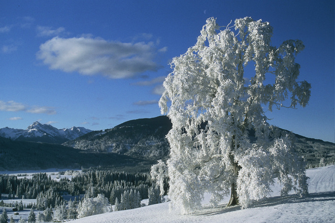 Winterwanderung -Achele Runde