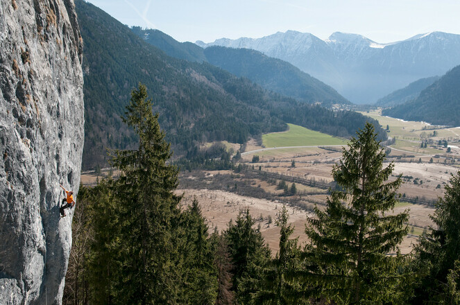 Klettergebiet Falkenwand