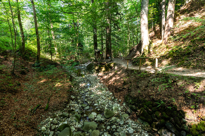 Pfad am Obernaugraben