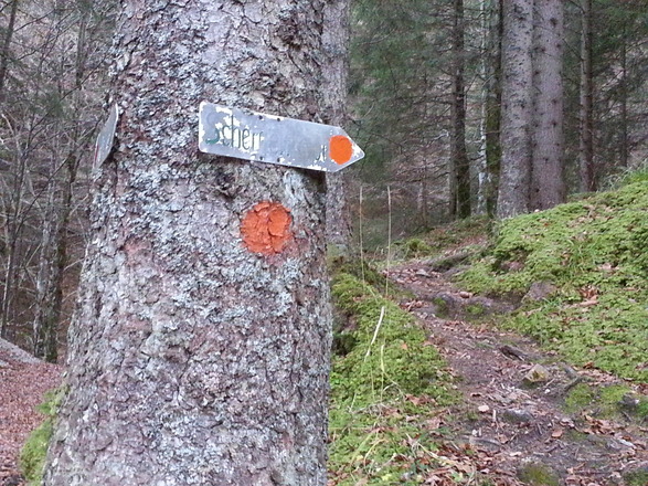unterer Einstieg in den Fußweg