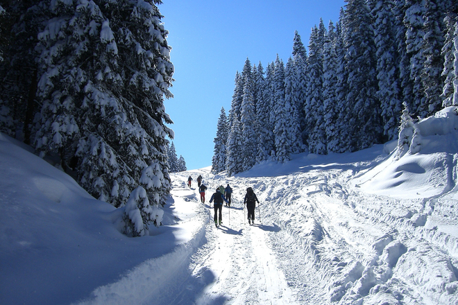 Skitour Laber - Aufstieg über die Forststraße zur Soila-Alm