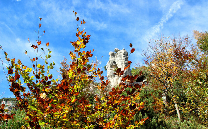 Herbstliche Steinerne Agnes