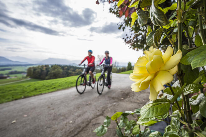 Alpen-Caravanpark Tennsee